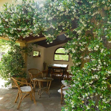 Le Rogheta Campiglia dʼOrcia Exterior foto