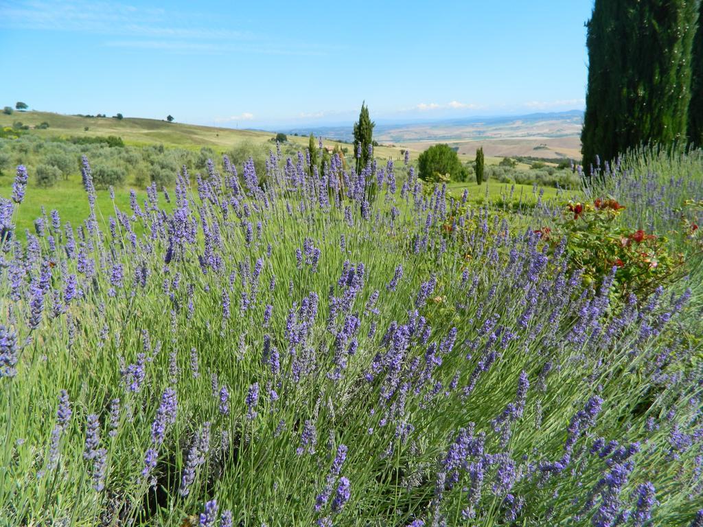 Le Rogheta Campiglia dʼOrcia Exterior foto