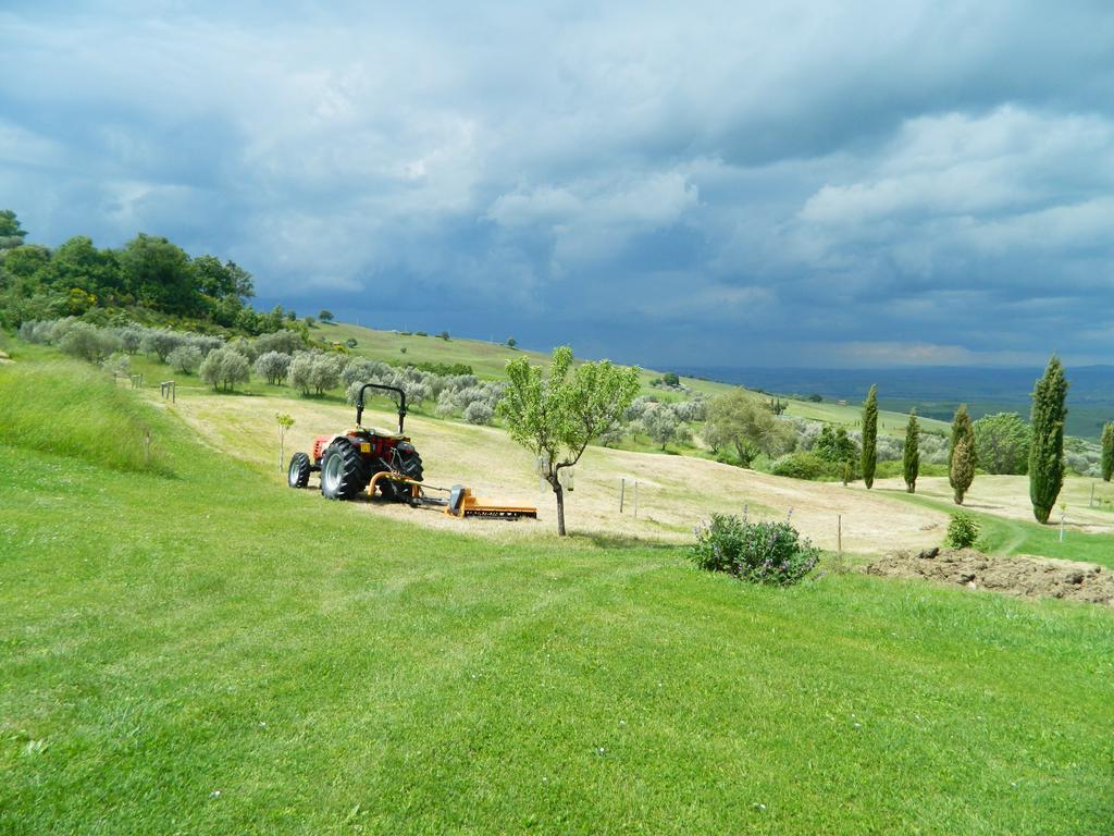 Le Rogheta Campiglia dʼOrcia Exterior foto