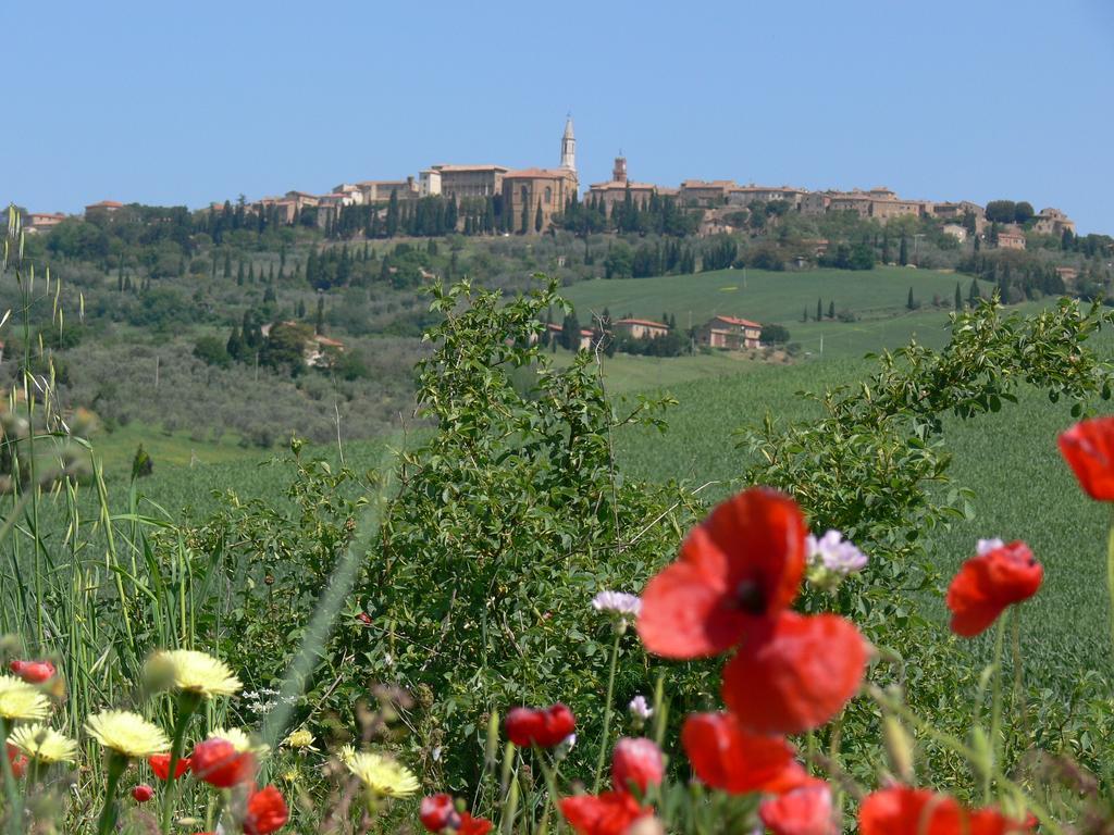 Le Rogheta Campiglia dʼOrcia Exterior foto
