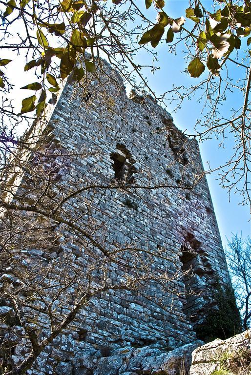 Le Rogheta Campiglia dʼOrcia Exterior foto